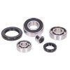 42774 - gearbox bearing set w/ oil seals for Piaggio long type