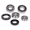 42778 - gearbox bearing set w/ oil seals for CPI Euro2