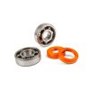 Sada ložisek a gufer klikového hřídele Stage6 R/T C3 plastová klec 17mm + 20mm Minarelli AM6