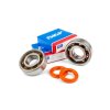 343599 1 sada lozisek a gufer klikoveho hridele stage6 r t c4 plastova klec peugeot speedfight 3 4