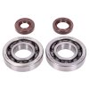 343752 sada lozisek a gufer klikoveho hridele naraku hd honda x8r 50 s x szx50