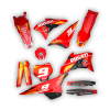 desmo NexusST GFP