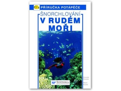 Šnorchlování v Rudém moři – Průvodce podmořským světem