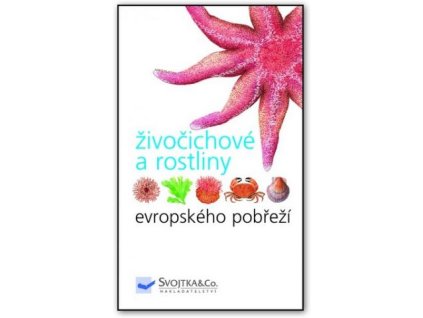 Živočichové a rostliny evropského pobřeží