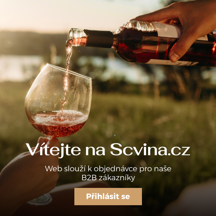 Vítejte na Scvina.cz – přihlásit se