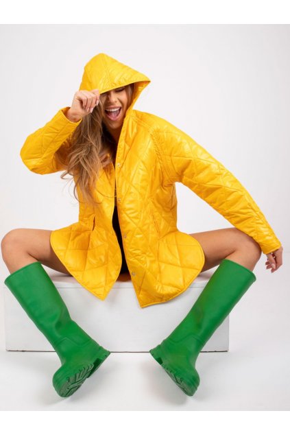 RV KR 004.95 P Yellow 1