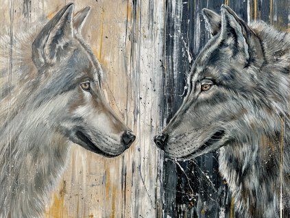 Dva vlci