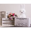 Miffy led lampy