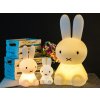 Lampa Miffy