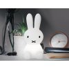 Miffy 1024x768