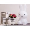 LED Miffy