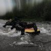 Paddleboard Agama RESCUE v2