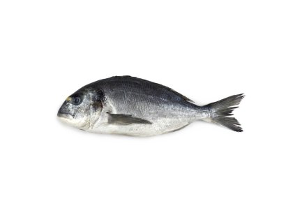 dorada filet