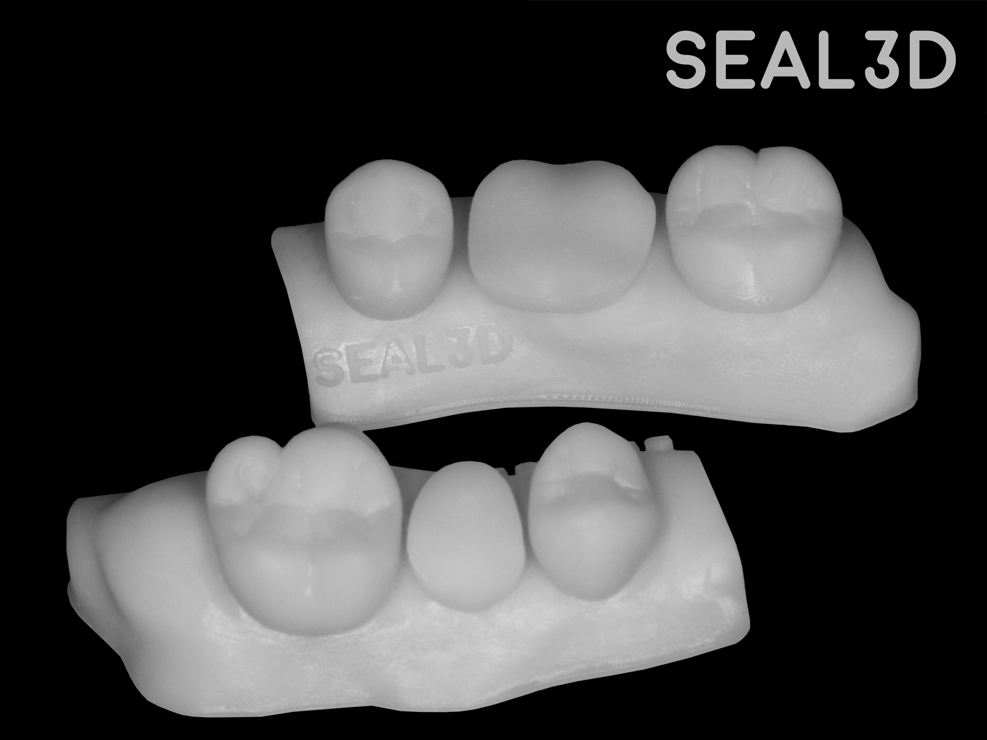 Modely Seal 3D na stáži zo zubnej protetiky