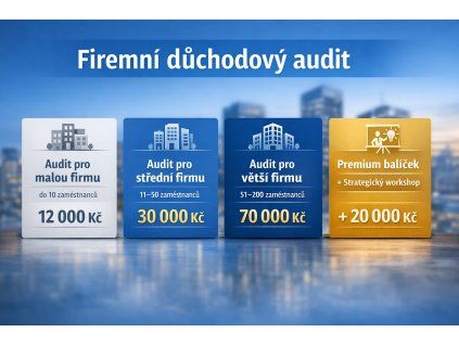 firemni audit