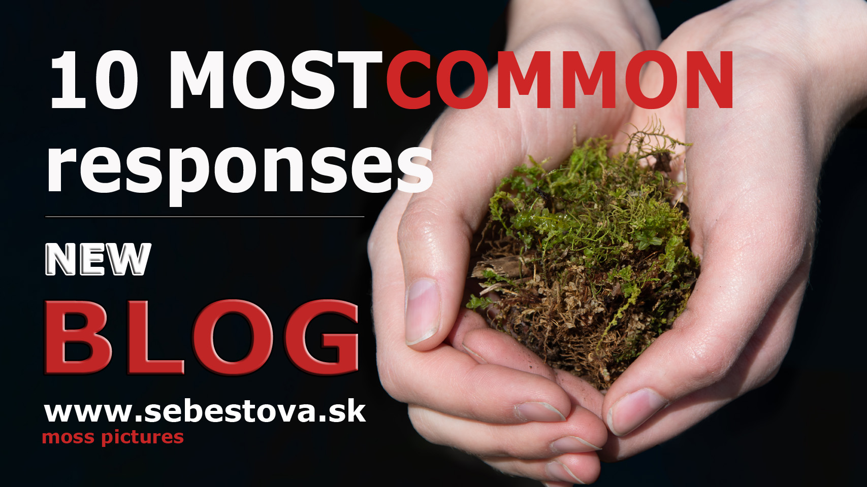 FAQs or 10 Most Common Responses