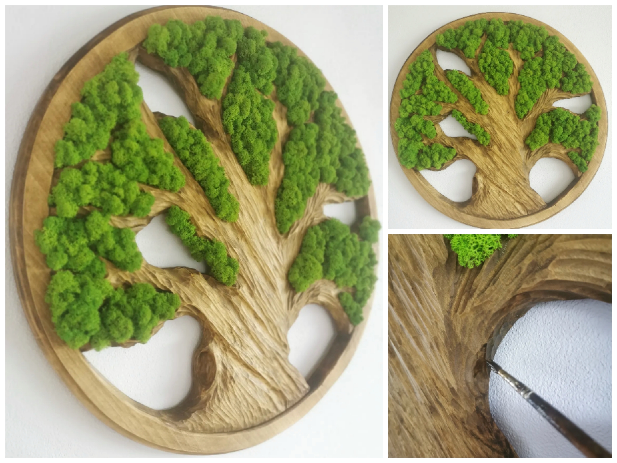 Moss tree of life