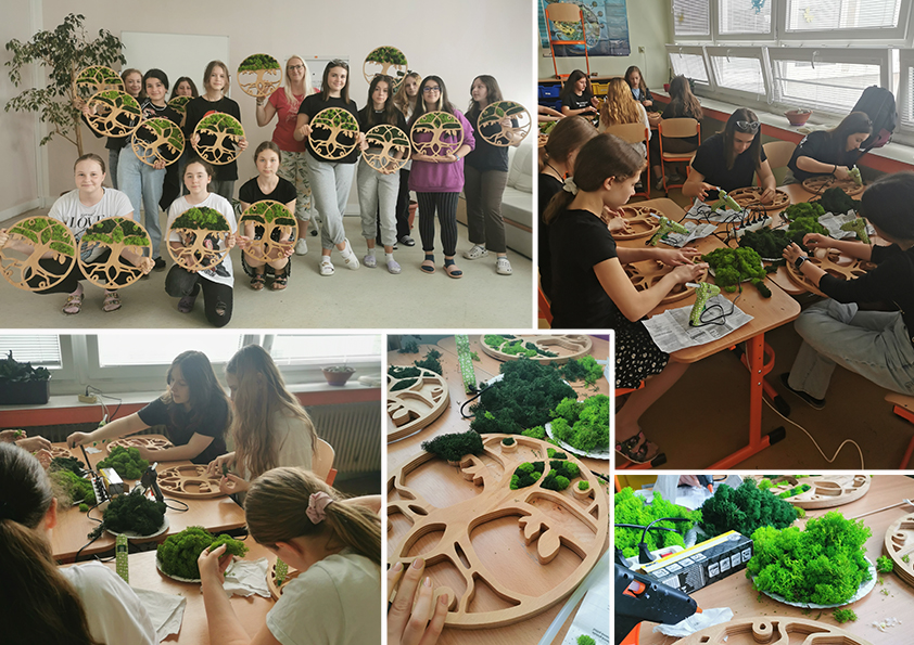Machové workshopy