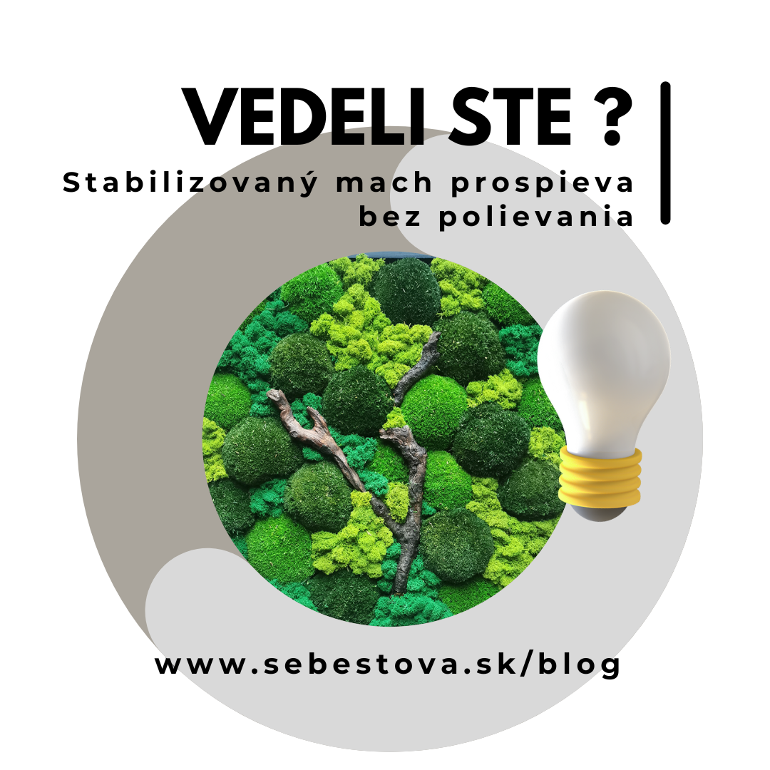 Prírodná krása bez potreby zalievania a vody