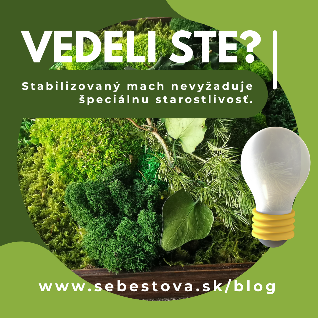 Krása bez starostí