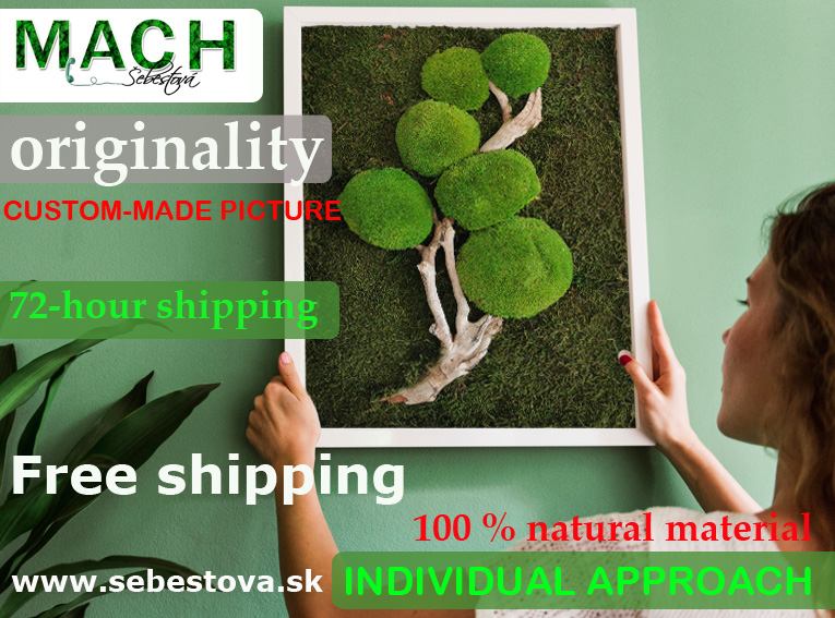Why shop with us?