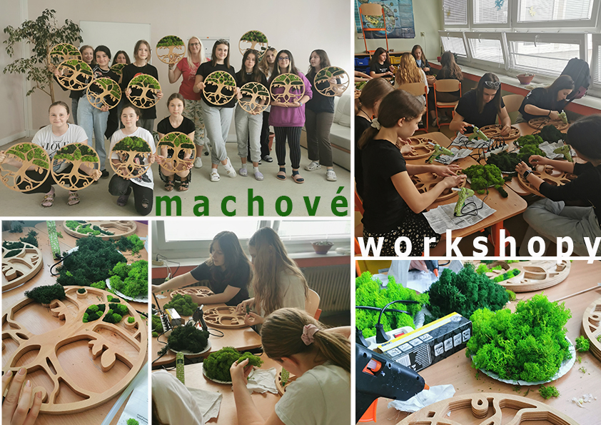 machové workshopy