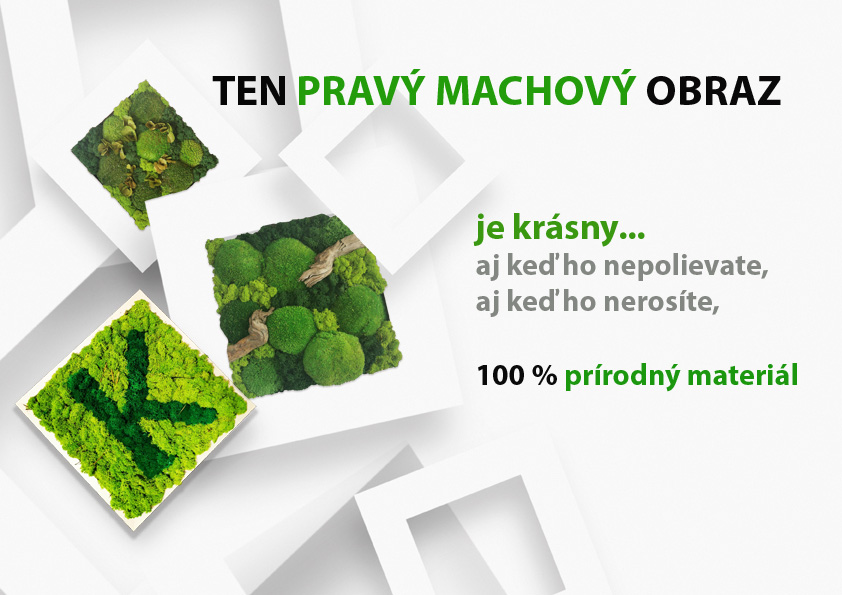 pravý machový obraz