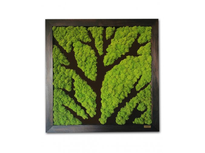 machový obraz - strom/moss tree in frame