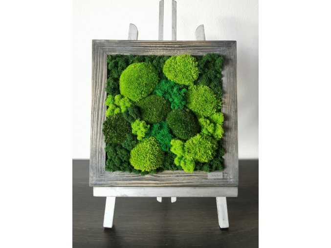 machový obraz v rustikálnom ráme/moss rustic