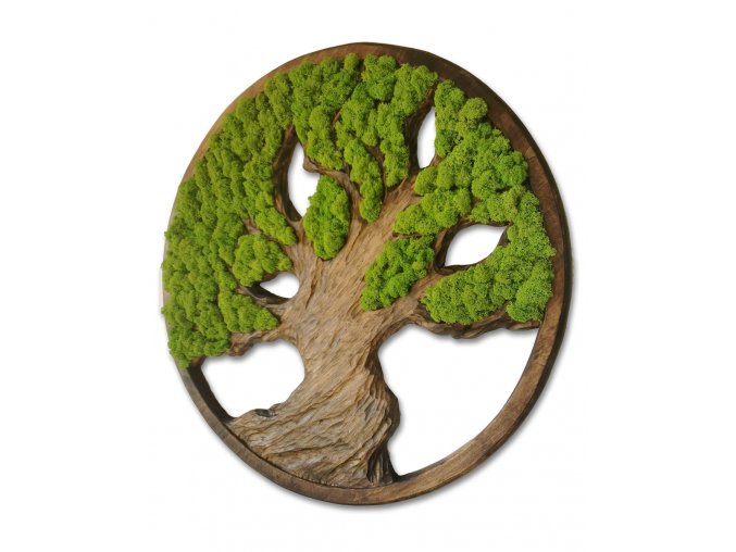machový strom života, moss tree of life