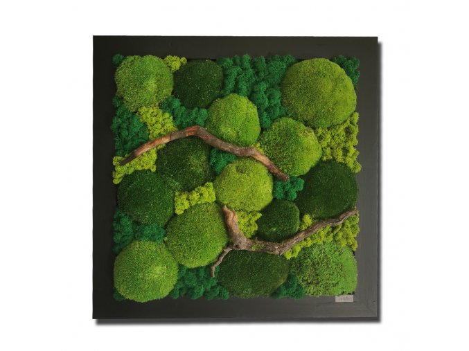 machovy obraz klasik/moss classic