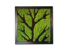 machový obraz - strom/moss tree in frame