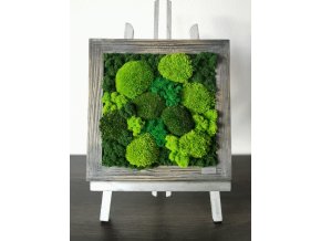machový obraz v rustikálnom ráme/moss rustic