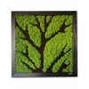 machový obraz - strom/moss tree in frame