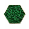 hexagon z jablkovozeleného sobieho machu na stenu