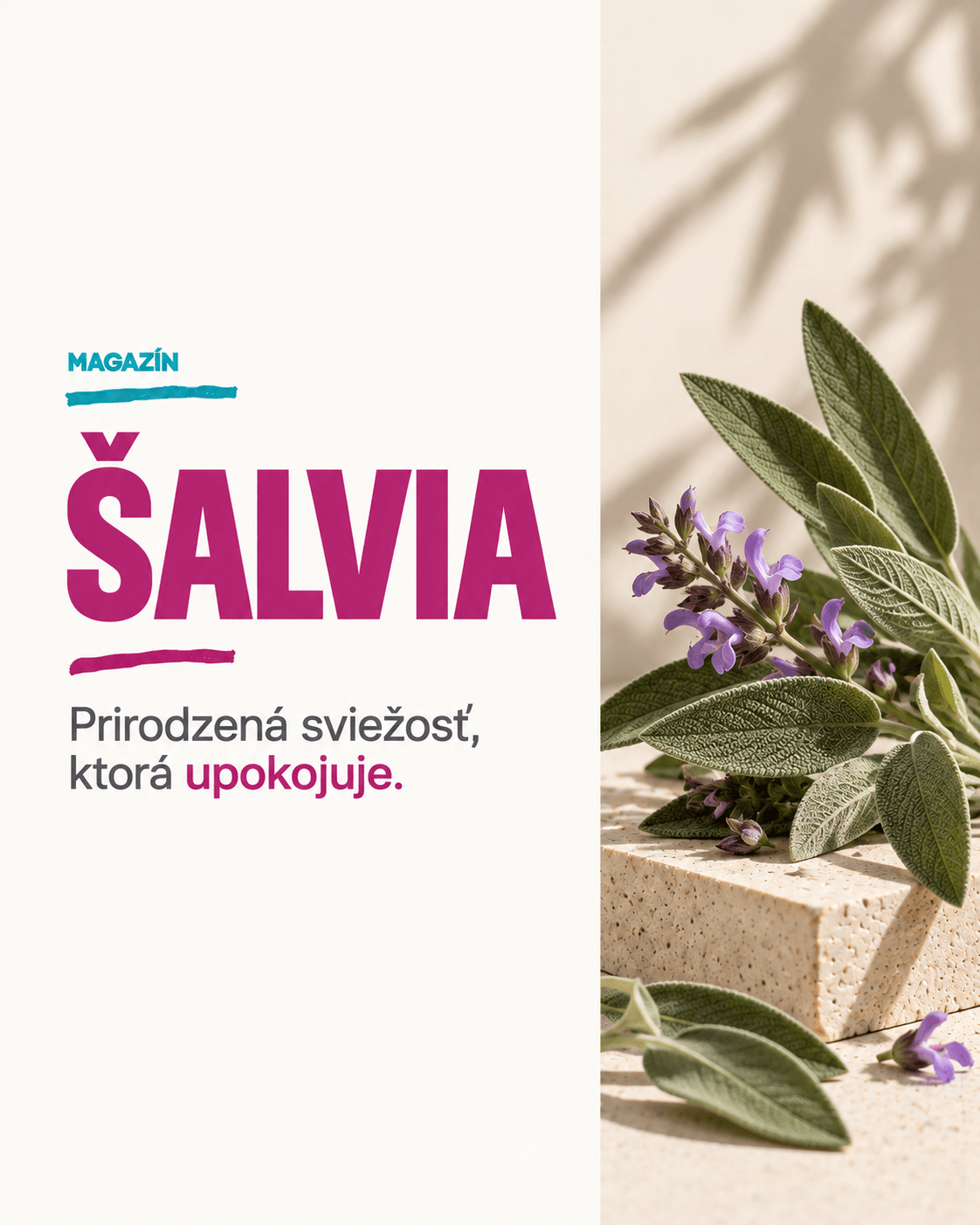 Šalvia