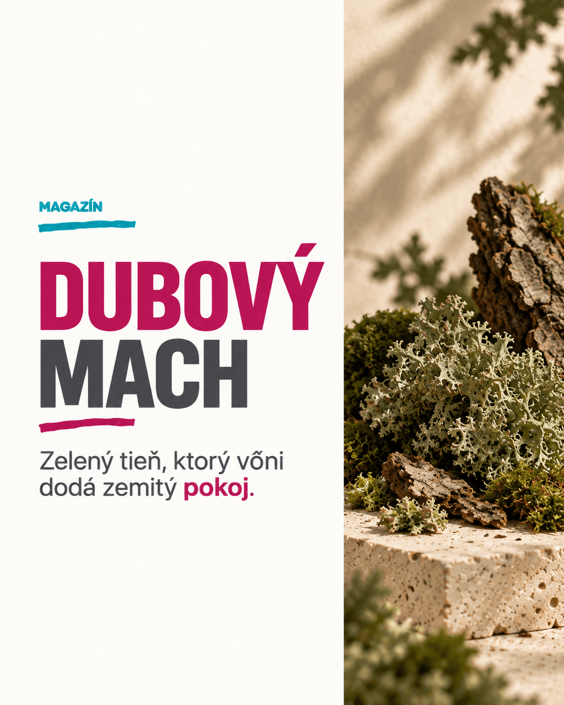 Dubový mach
