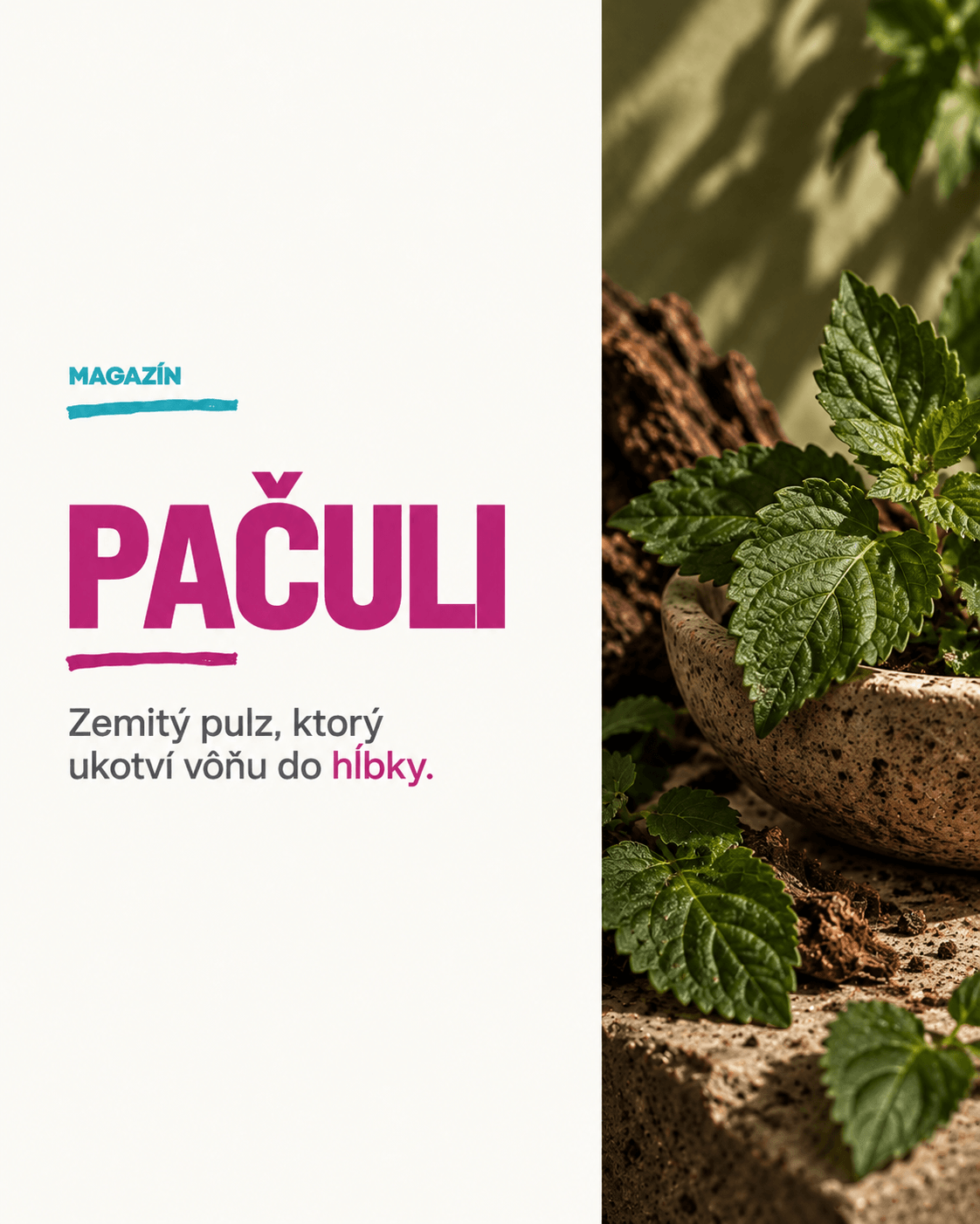 Pačuli