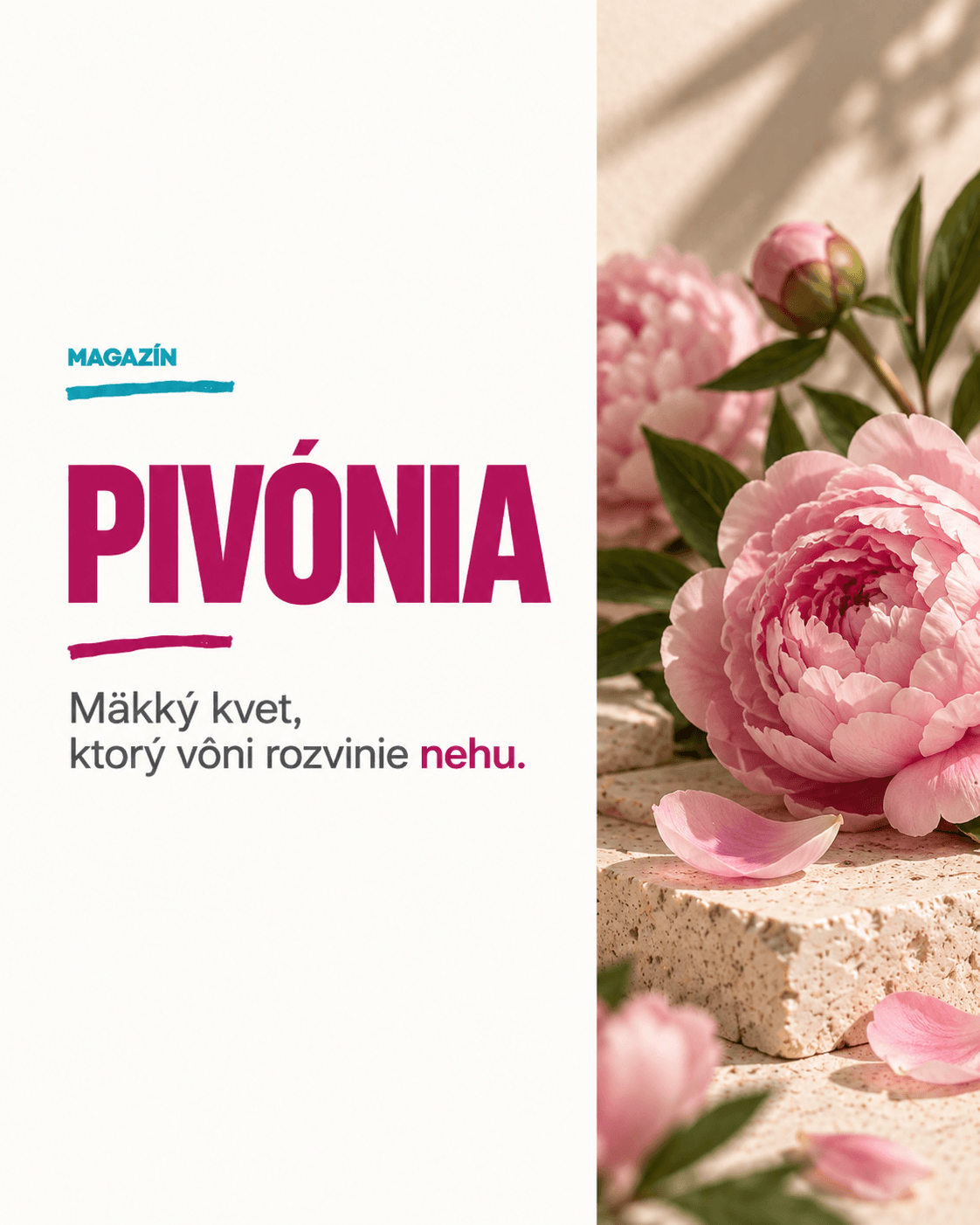 Pivonka