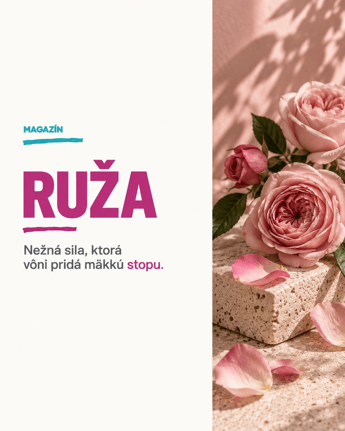 Ruža