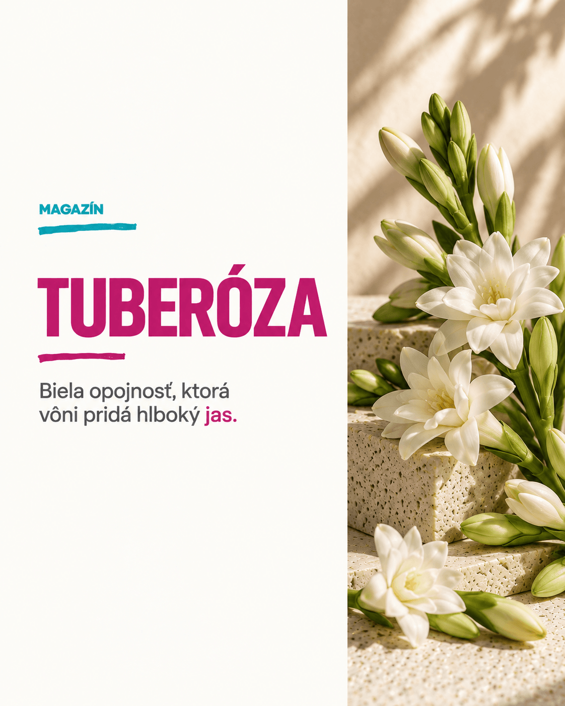 Tuberóza