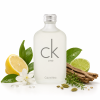 CK One | Calvin Klein (Objem 50 ml)