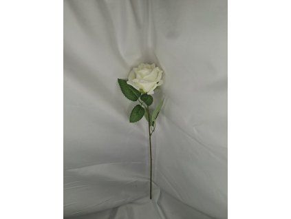 66eae490 9857 4359 b19c 6cf986e0bd52