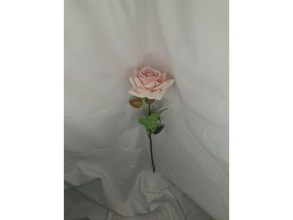 865afd7d 4e4d 4710 b22b 722c4572e64b