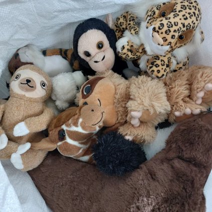 vyr 3480 20240208 114506