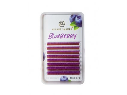 blueberryfront
