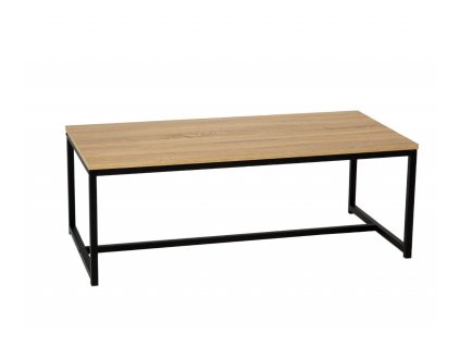 Kovový konferenční stolek Andrea House MU72087 | přírodní, černá