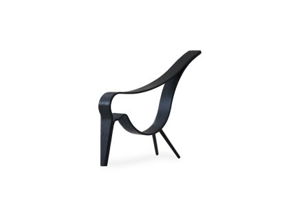 Dřevěný dekorativní ptáček Cooee Design Woody Bird, střední | černá