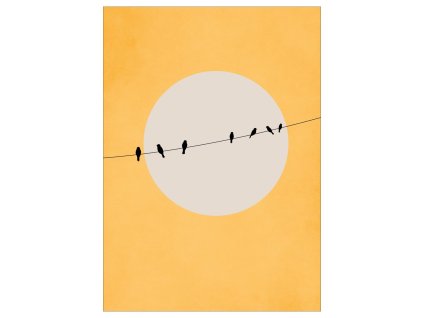 Veselý plakát na zeď Chirping and Chilling – Mint | Ptáčci a barvy