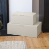Sada úložných boxu Stackers Oatmeal & Brushed Gold Set of 2 Storage Boxes | krémová